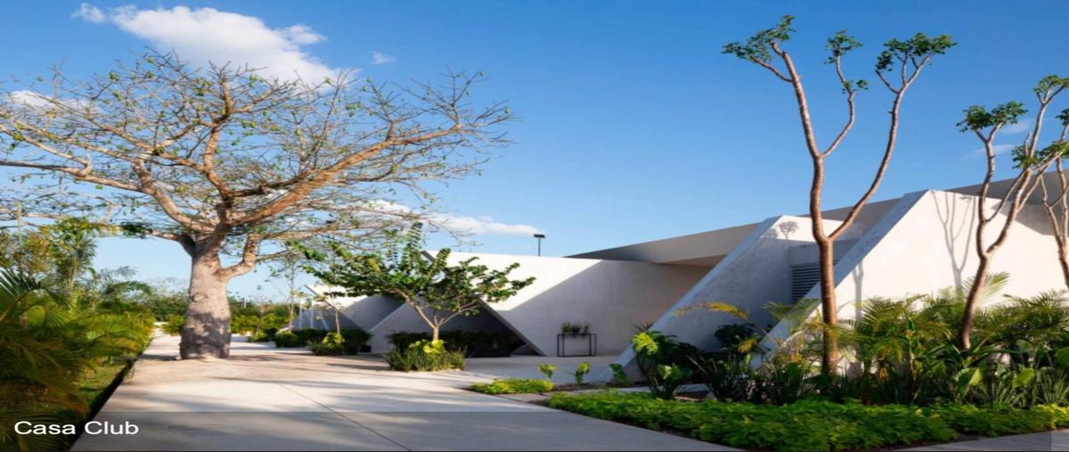 Foto de terreno habitacional en venta en  , cheuman, mérida, yucatán, 0 No. 03
