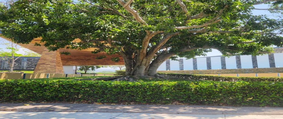 Foto de terreno habitacional en venta en  , chiapa, cuauhtémoc, colima, 31103810 No. 03
