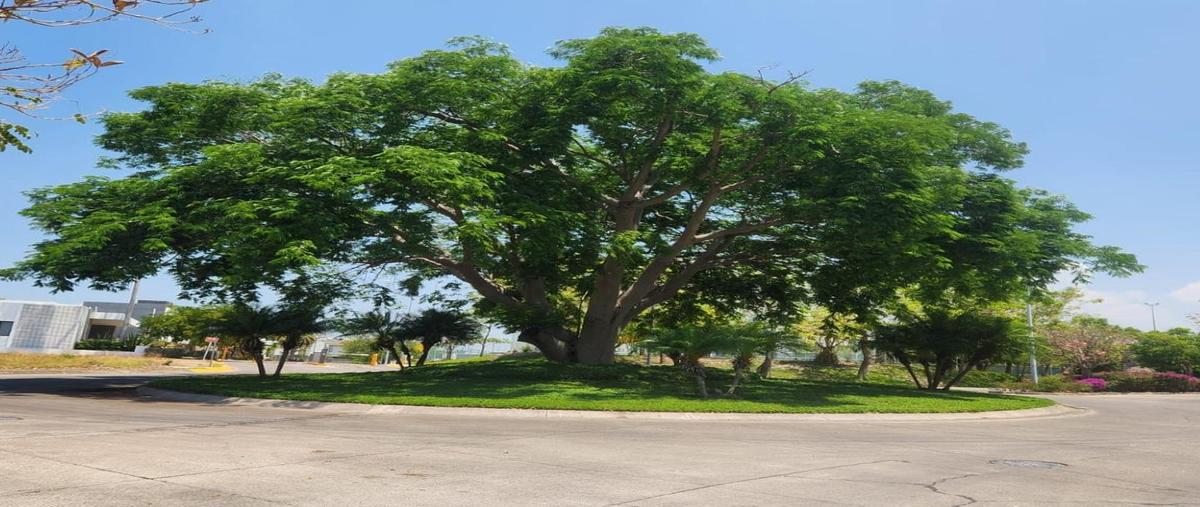 Foto de terreno habitacional en venta en  , chiapa, cuauhtémoc, colima, 31103810 No. 05