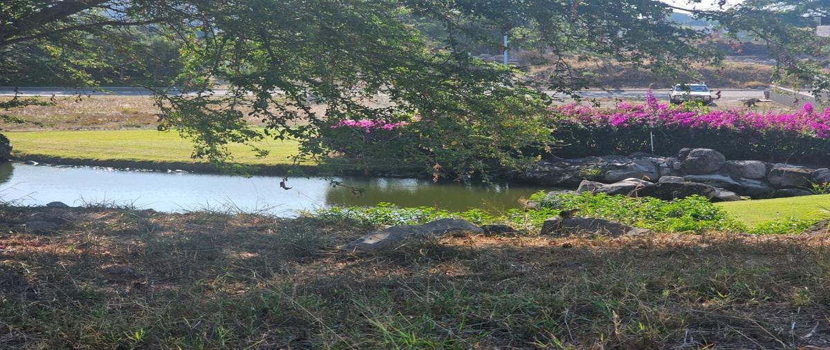 Foto de terreno habitacional en venta en  , chiapa, cuauhtémoc, colima, 0 No. 05