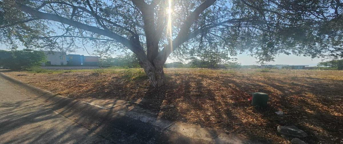 Foto de terreno habitacional en venta en  , chiapa, cuauhtémoc, colima, 0 No. 05