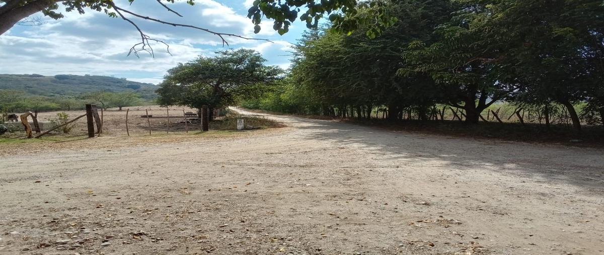 Foto de terreno habitacional en venta en  , chiapa de corzo (ángel albino corzo), chiapa de corzo, chiapas, 0 No. 03