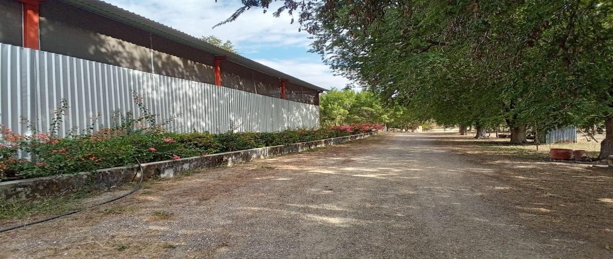 Foto de terreno habitacional en venta en  , chiapa de corzo (ángel albino corzo), chiapa de corzo, chiapas, 0 No. 04