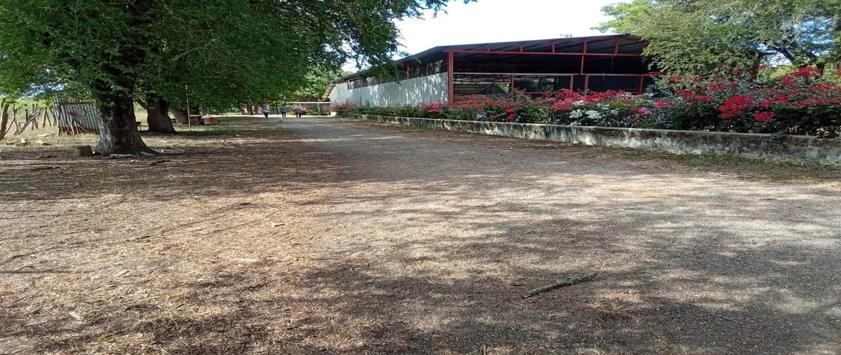 Foto de terreno habitacional en venta en  , chiapa de corzo (ángel albino corzo), chiapa de corzo, chiapas, 0 No. 05