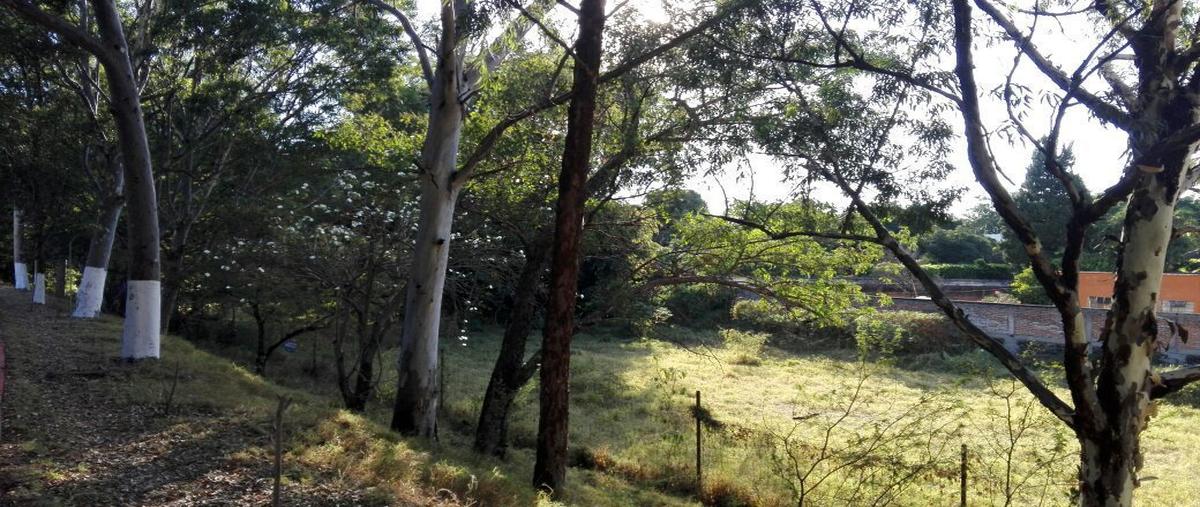 Foto de terreno habitacional en venta en chiapas , pablo torres burgos, cuautla, morelos, 14204162 No. 03