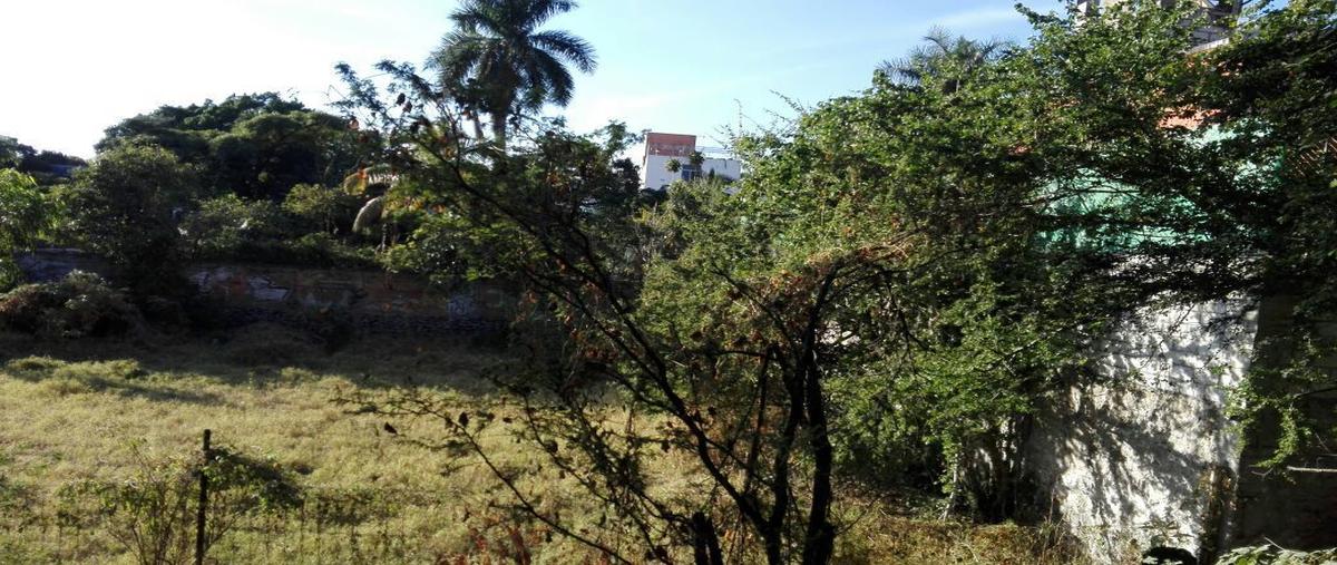 Foto de terreno habitacional en venta en chiapas , pablo torres burgos, cuautla, morelos, 14204162 No. 05