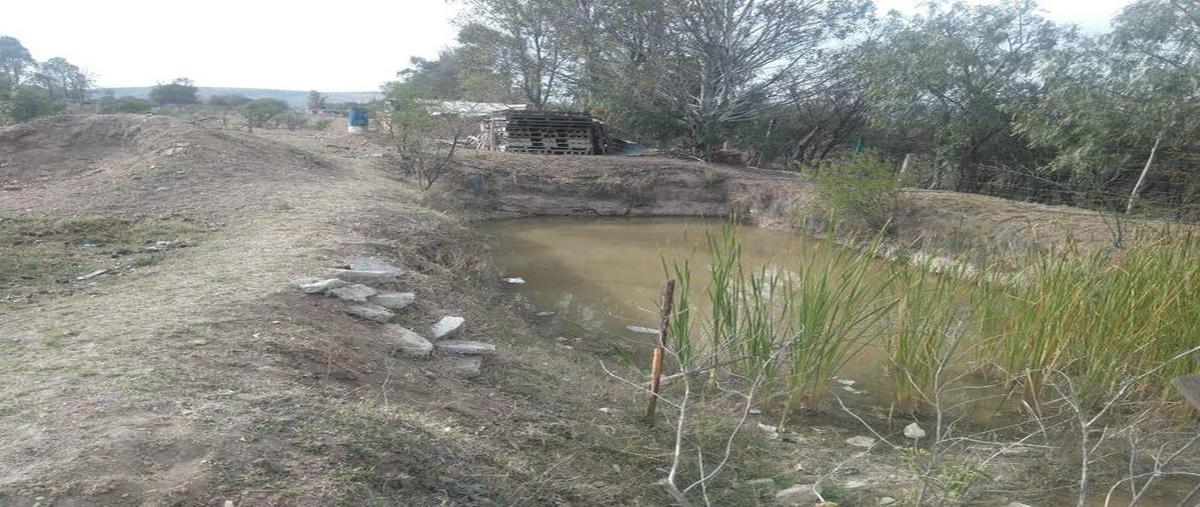 Foto de terreno habitacional en venta en  , chicahuales i, jesús maría, aguascalientes, 27735743 No. 04