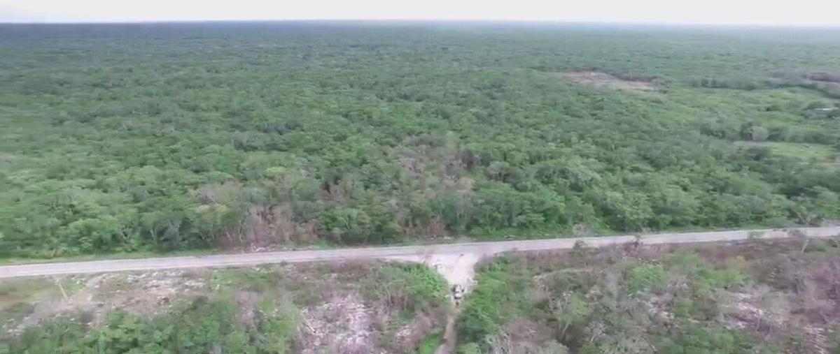 Foto de terreno habitacional en , chichen-itza, tinum, yucatán, 29867228 foto 04 Foto de terreno habitacional en venta en , chichen-itza, tinum, yucatán, 29867228 No. 04