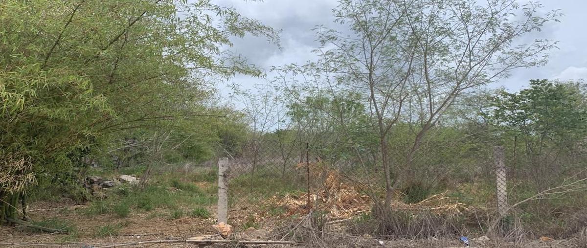 Foto de terreno habitacional en venta en  , chichi suárez, mérida, yucatán, 24941066 No. 03