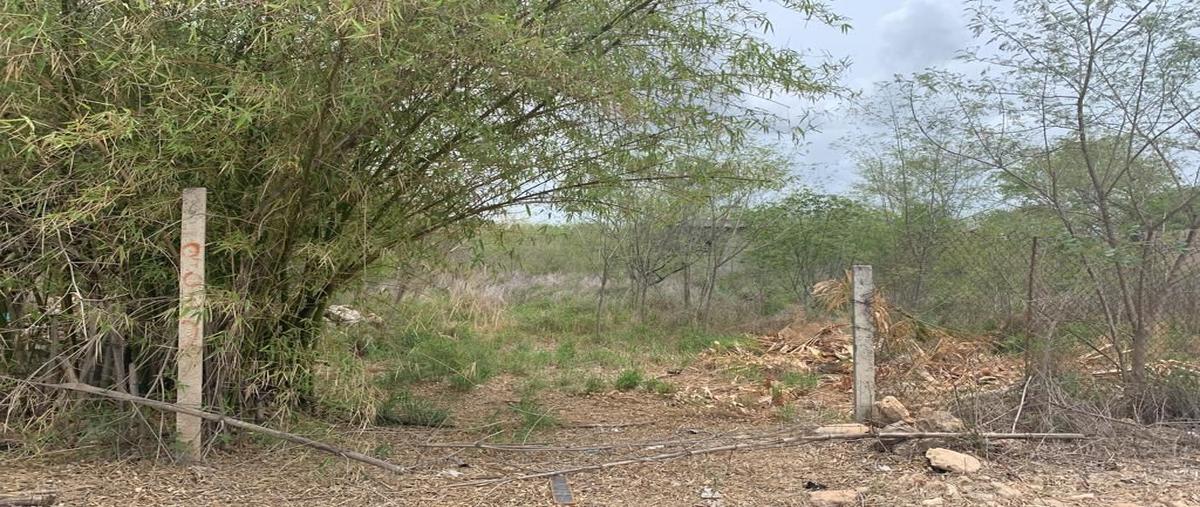 Foto de terreno habitacional en venta en  , chichi suárez, mérida, yucatán, 24941066 No. 05