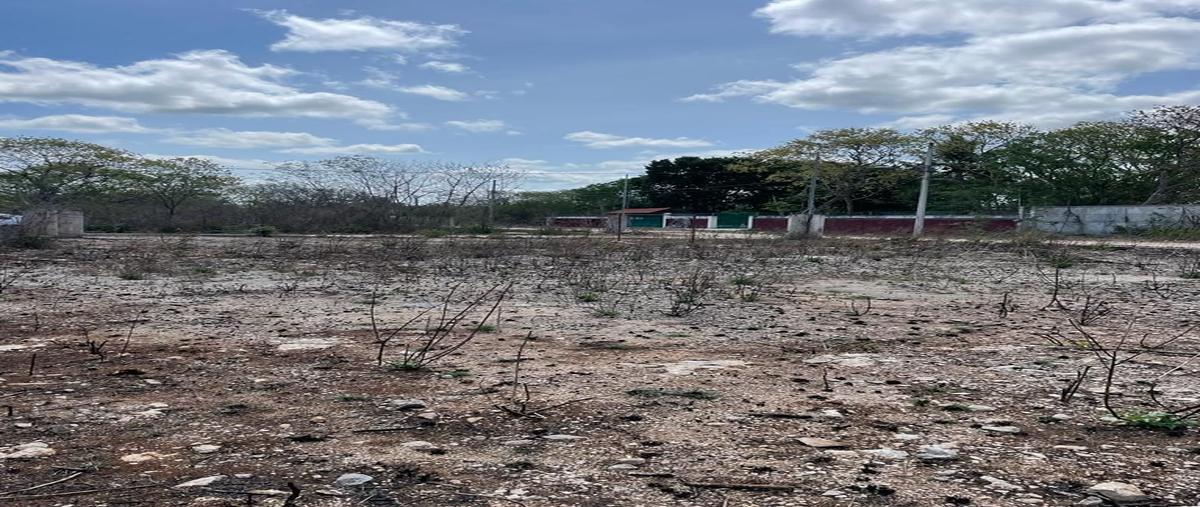 Foto de terreno habitacional en venta en  , chichi suárez, mérida, yucatán, 26508016 No. 05