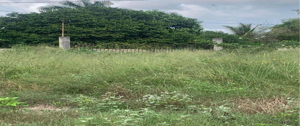 Foto de casa en venta en  , chichi suárez, mérida, yucatán, 0 No. 03