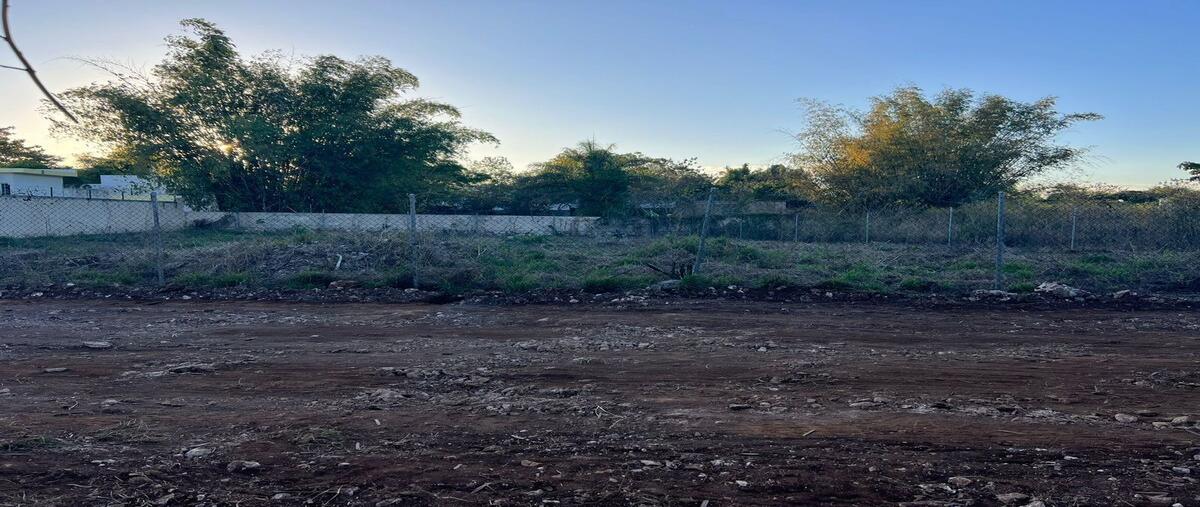 Foto de terreno habitacional en renta en  , chichi suárez, mérida, yucatán, 28164919 No. 03