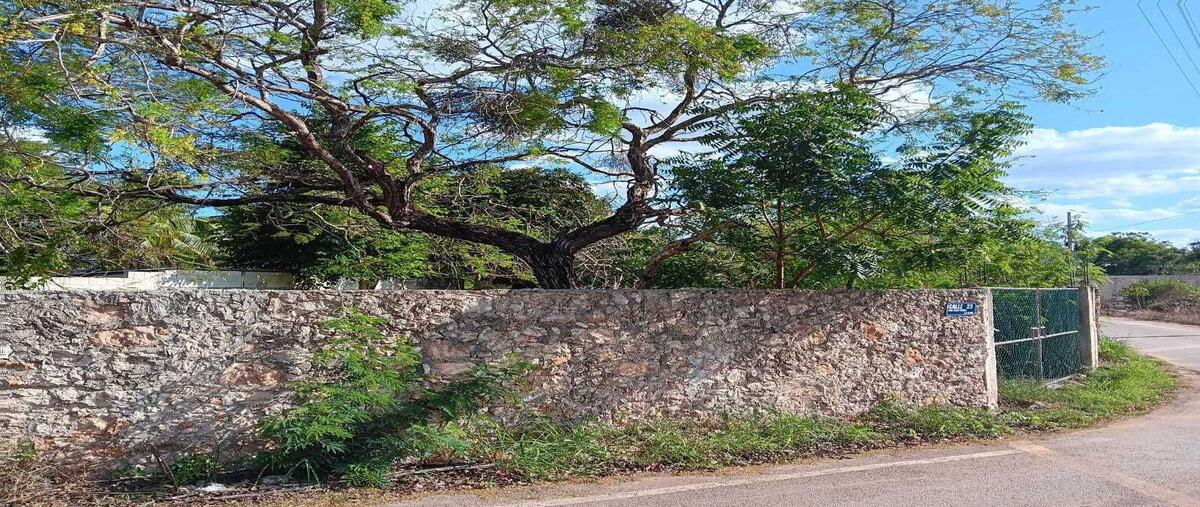 Foto de terreno habitacional en , chichi suárez, mérida, yucatán, 29443738 foto 03 Foto de terreno habitacional en venta en , chichi suárez, mérida, yucatán, 29443738 No. 03
