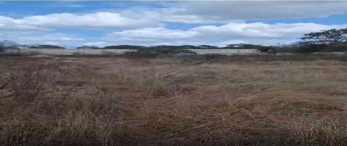 Foto de terreno habitacional en renta en  , chichi suárez, mérida, yucatán, 29525694 No. 03