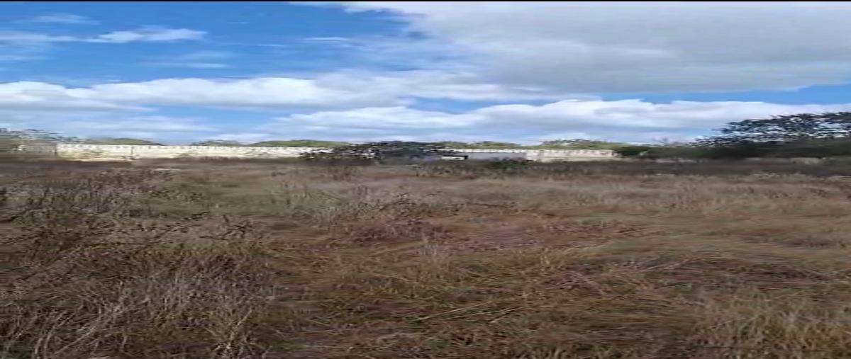 Foto de terreno habitacional en renta en  , chichi suárez, mérida, yucatán, 29525694 No. 04