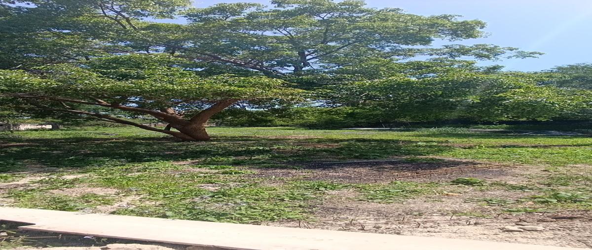 Foto de terreno habitacional en venta en  , chichi suárez, mérida, yucatán, 30092477 No. 03