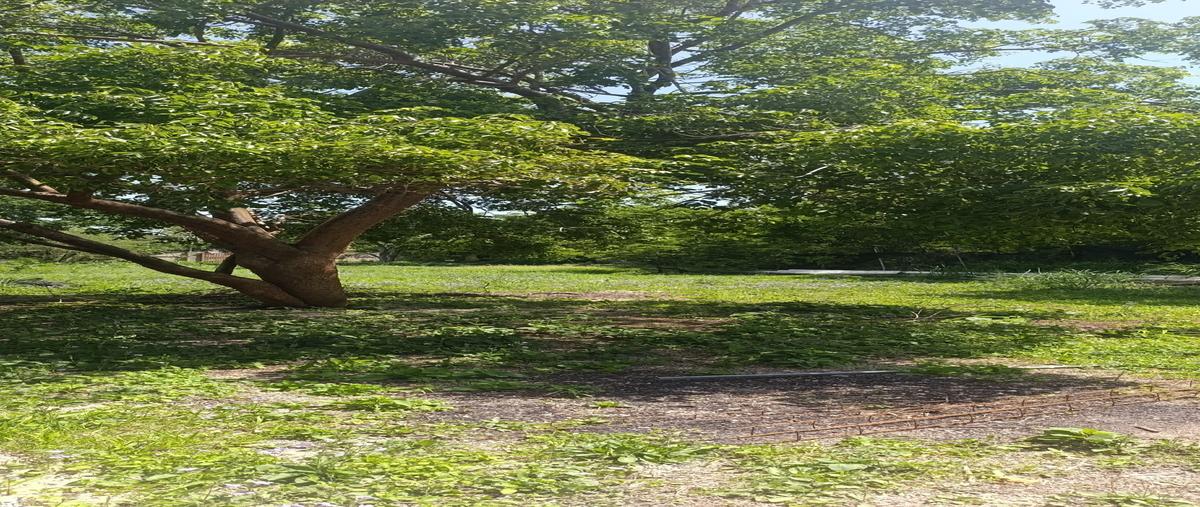 Foto de terreno habitacional en venta en  , chichi suárez, mérida, yucatán, 30092477 No. 05