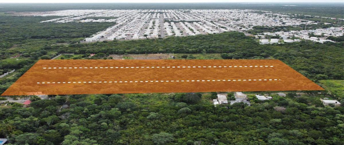 Foto de terreno habitacional en venta en  , chichi suárez, mérida, yucatán, 0 No. 03