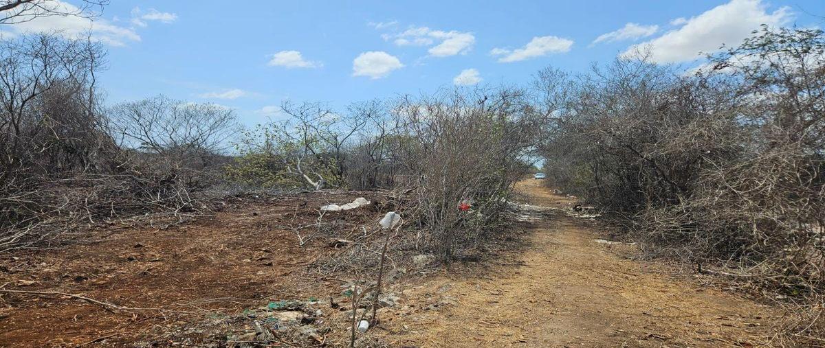 Foto de terreno habitacional en venta en  , chichi suárez, mérida, yucatán, 30513838 No. 04