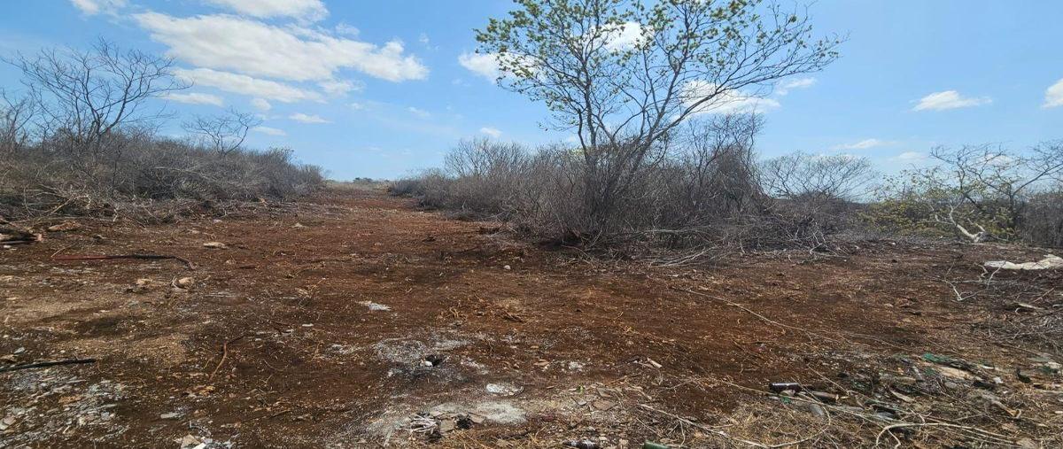 Foto de terreno habitacional en venta en  , chichi suárez, mérida, yucatán, 30513838 No. 05