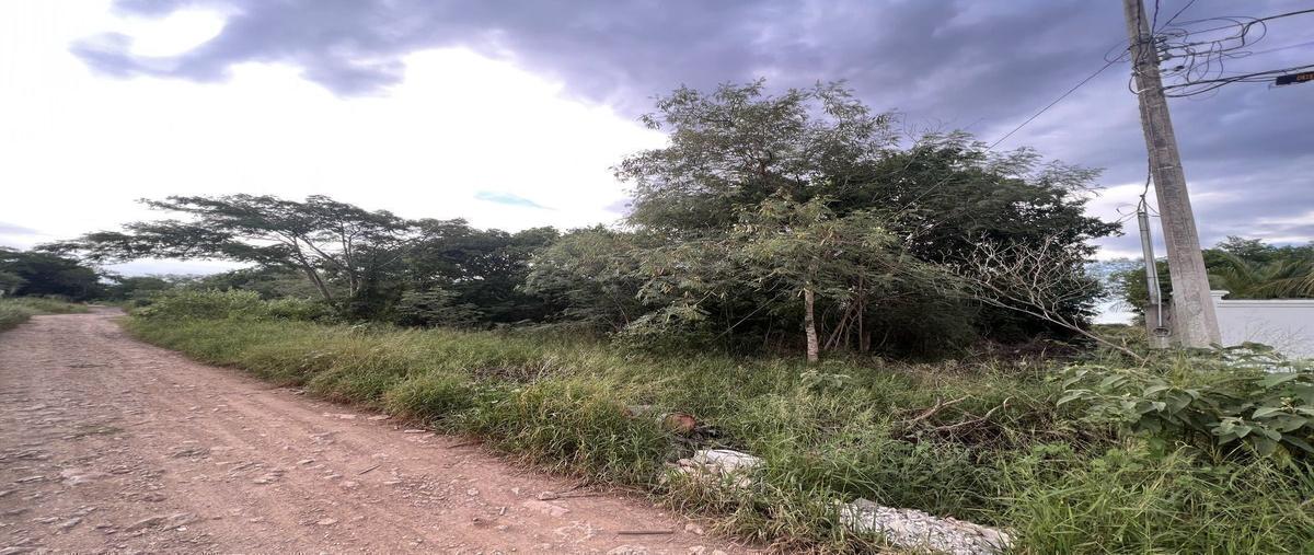Foto de terreno habitacional en venta en  , chichi suárez, mérida, yucatán, 30603422 No. 06