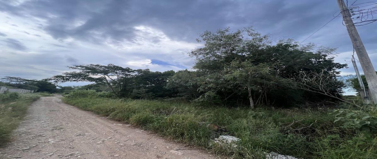 Foto de terreno habitacional en venta en  , chichi suárez, mérida, yucatán, 30603422 No. 07