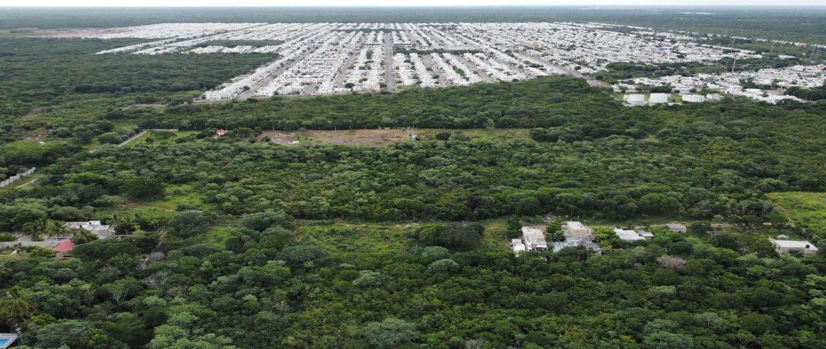 Foto de terreno habitacional en venta en  , chichi suárez, mérida, yucatán, 30603460 No. 04