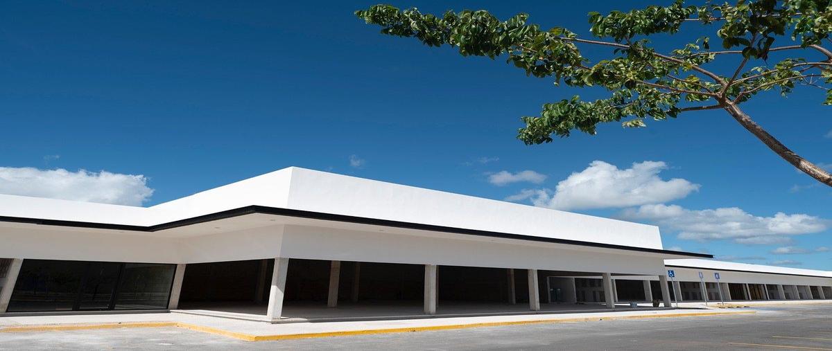 Foto de local en renta en  , chichi suárez, mérida, yucatán, 0 No. 05