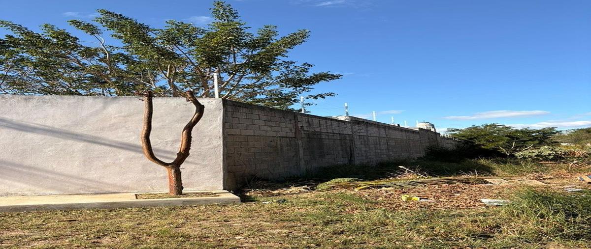 Foto de terreno habitacional en venta en  , chichi suárez, mérida, yucatán, 0 No. 03