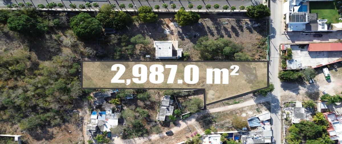 Foto de terreno habitacional en , chichi suárez, mérida, yucatán, 30853039 foto 01 Foto de terreno habitacional en venta en , chichi suárez, mérida, yucatán, 30853039 No. 01