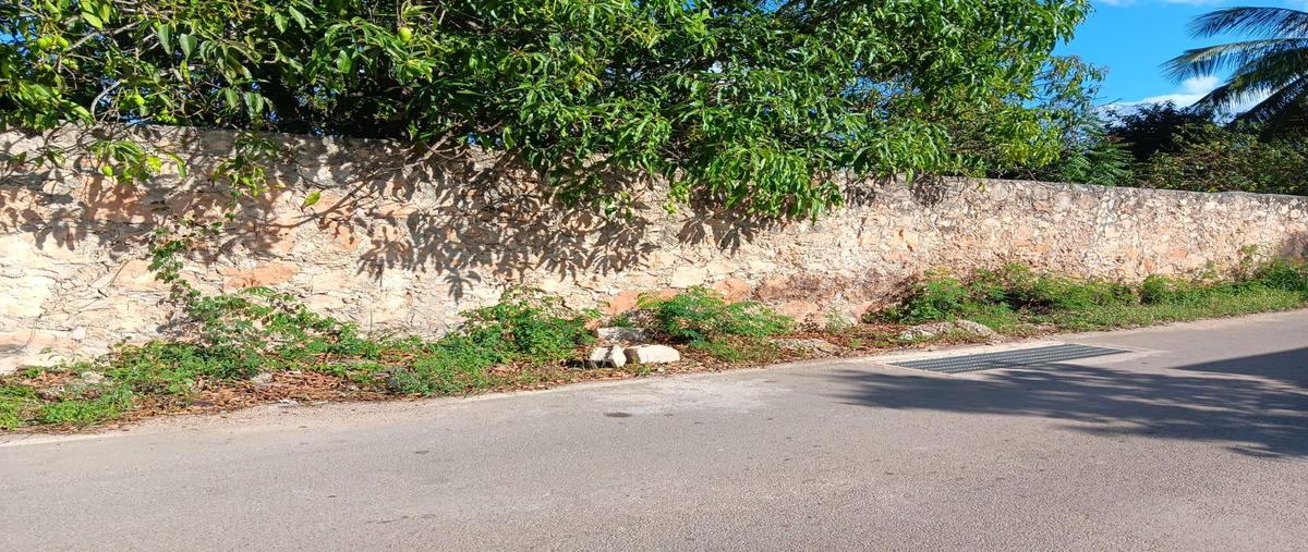 Foto de terreno habitacional en venta en  , chichi suárez, mérida, yucatán, 0 No. 03