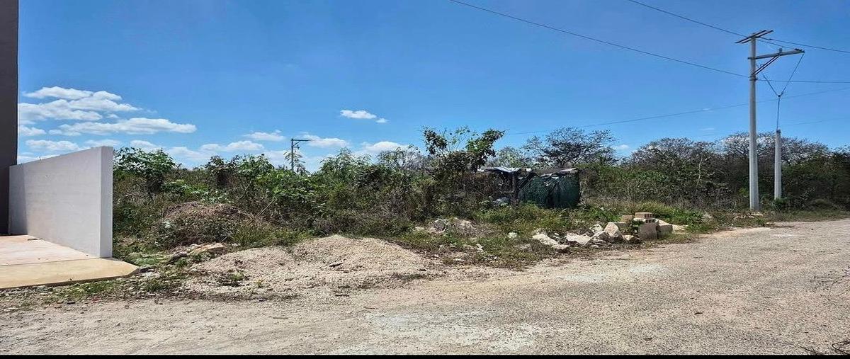 Foto de terreno habitacional en venta en  , chichi suárez, mérida, yucatán, 0 No. 04
