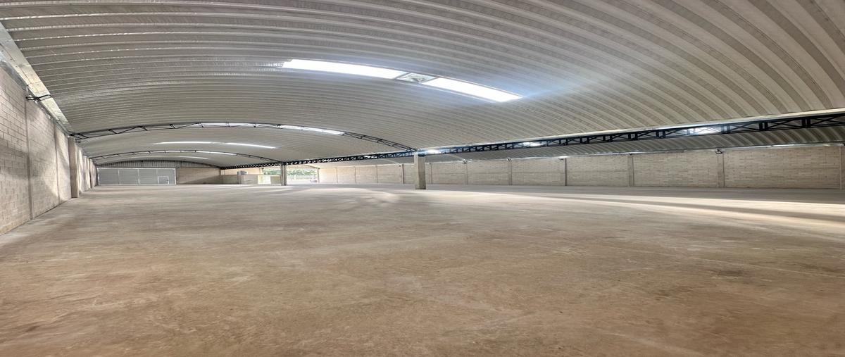 Foto de bodega en renta en  , chichi suárez, mérida, yucatán, 0 No. 05