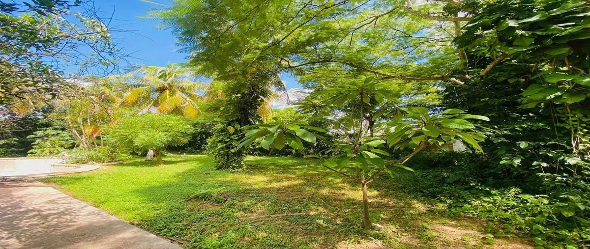 Foto de casa en venta en  , chichi suárez, mérida, yucatán, 0 No. 05