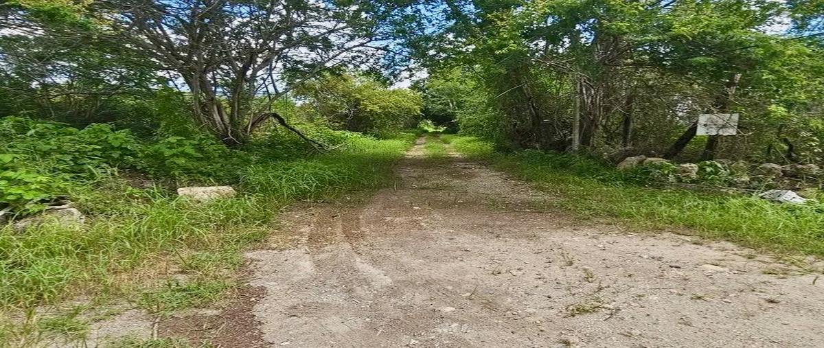 Foto de terreno habitacional en venta en chichi suarez whi310379, chichi suárez, mérida, yucatán, 0 No. 04