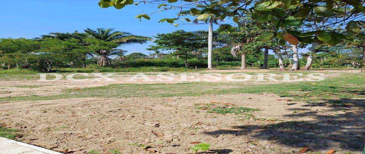 Foto de terreno habitacional en venta en  , chichicapa, comalcalco, tabasco, 0 No. 03