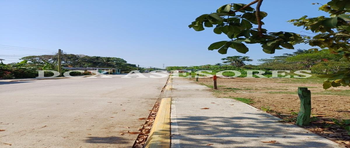 Foto de terreno habitacional en venta en  , chichicapa, comalcalco, tabasco, 0 No. 05