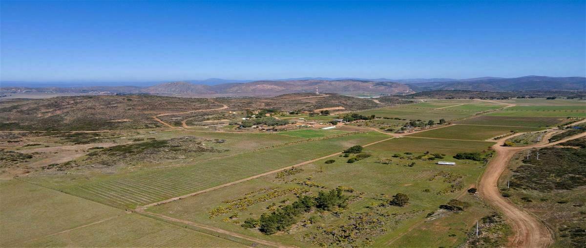 Foto de terreno habitacional en venta en chichihuas , francisco zarco (valle de guadalupe), ensenada, baja california, 20288668 No. 03