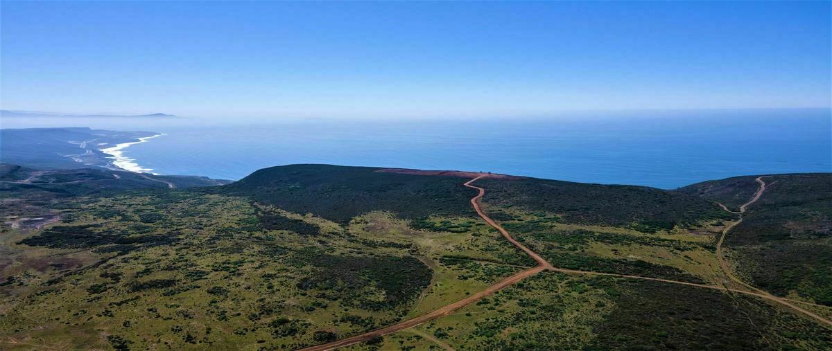 Foto de terreno habitacional en chichihuas , francisco zarco (valle de guadalupe), ensenada, baja california, 20884302 foto 01 Foto de terreno habitacional en venta en chichihuas , francisco zarco (valle de guadalupe), ensenada, baja california, 20884302 No. 01