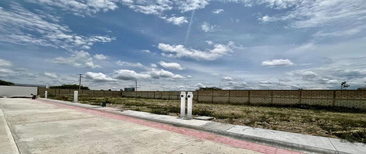Foto de terreno habitacional en venta en  , chichima acapetahua, comitán de domínguez, chiapas, 28233903 No. 02