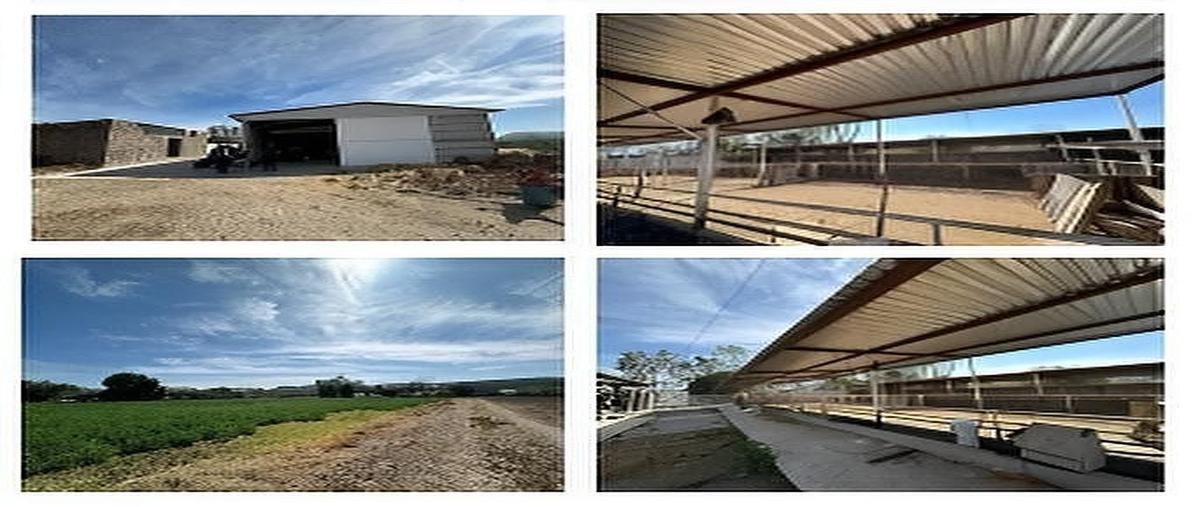 Foto de rancho en venta en  , chichimequillas, el marqués, querétaro, 0 No. 04