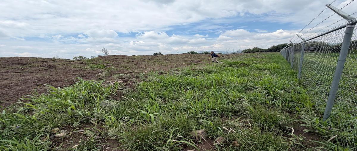 Foto de terreno habitacional en venta en  , chichimequillas, el marqués, querétaro, 0 No. 04