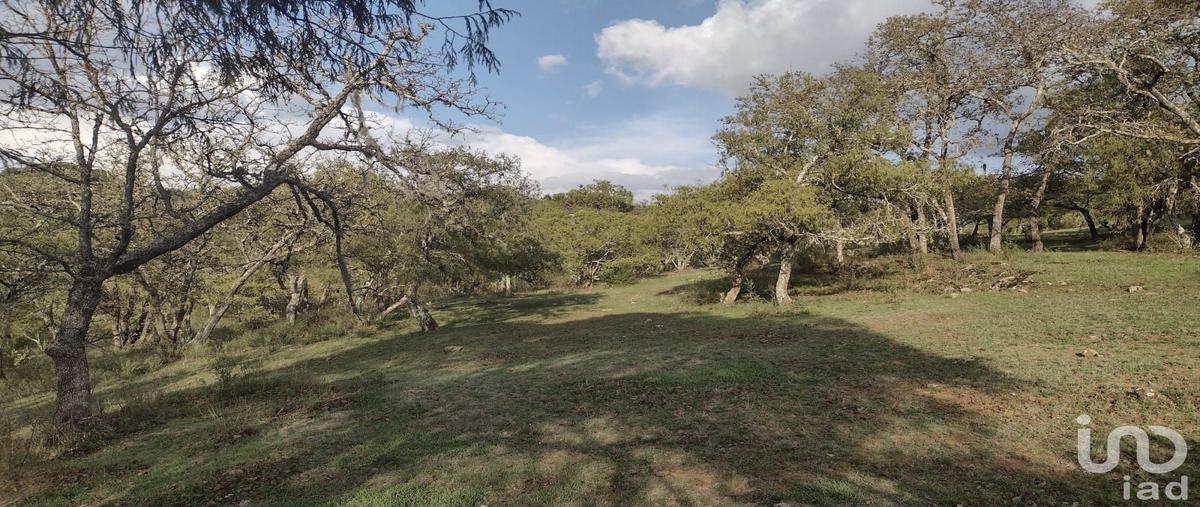 Foto de terreno habitacional en venta en chichipico , ojo de agua, huasca de ocampo, hidalgo, 28721255 No. 03