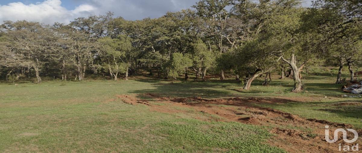 Foto de terreno habitacional en venta en chichipico , ojo de agua, huasca de ocampo, hidalgo, 28721255 No. 05