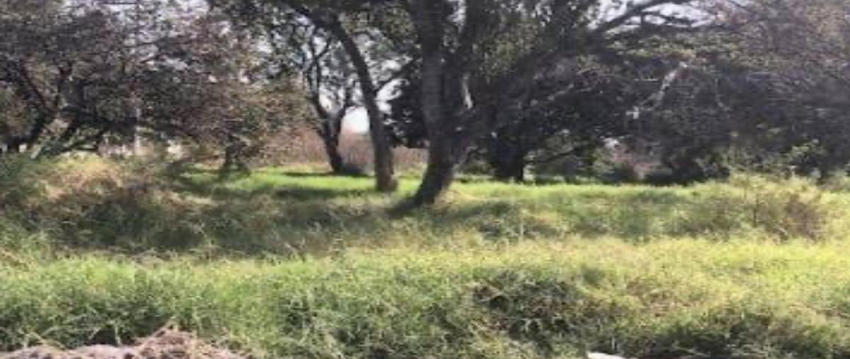 Foto de terreno habitacional en venta en chiconcuac, xochitepec, mor. , chiconcuac, xochitepec, morelos, 30544284 No. 03