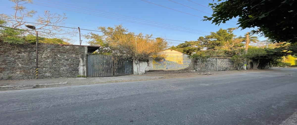 Foto de terreno habitacional en venta en  , chiconcuac, xochitepec, morelos, 27586327 No. 05
