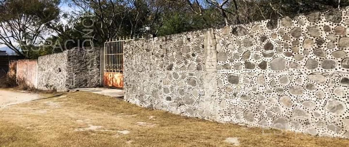 Foto de terreno habitacional en venta en  , chiconcuac, xochitepec, morelos, 0 No. 03