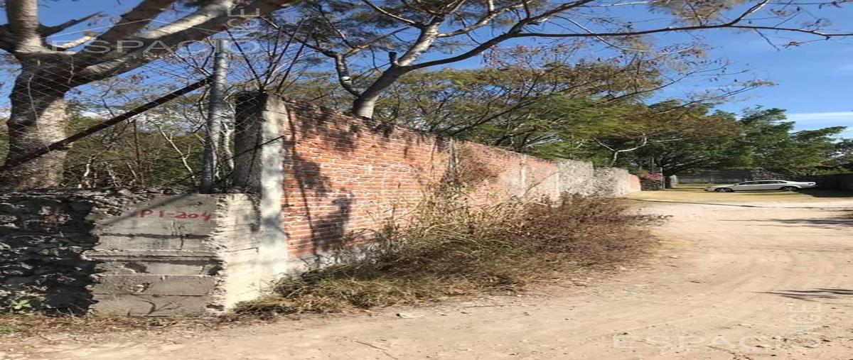 Foto de terreno habitacional en venta en  , chiconcuac, xochitepec, morelos, 0 No. 05