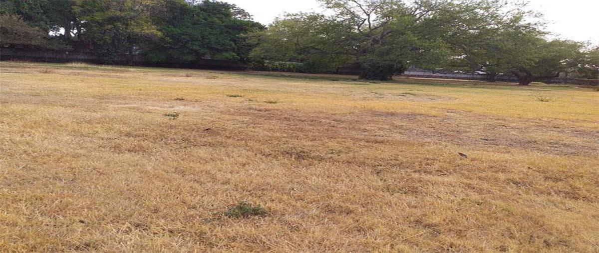 Foto de terreno habitacional en venta en  , chiconcuac, xochitepec, morelos, 0 No. 05